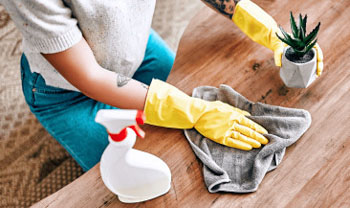 house cleaning tips